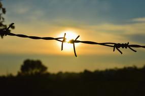 iron fence in the sunlight