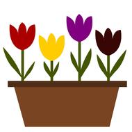 clipart of painted four tulips in a pot