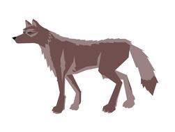 animal brown wolf illustration