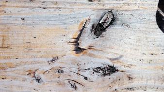 Wood Grain old texture nature