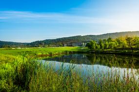 lake grass meadow green