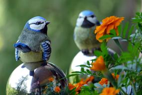 birds of color sculpture