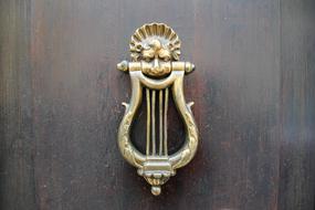 lock gold wood door