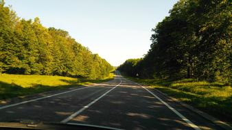 Road Forest Blue Sky
