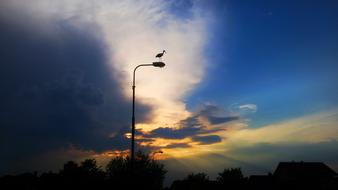 Bird lamp Cloud'S Sunset