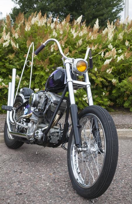 a black motorcycle in green grass
