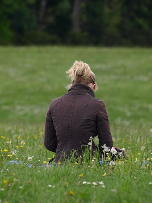 green Meadow Lady