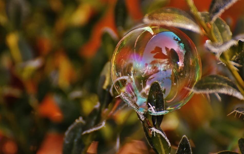 Soap Bubble Colorful Buxbaum