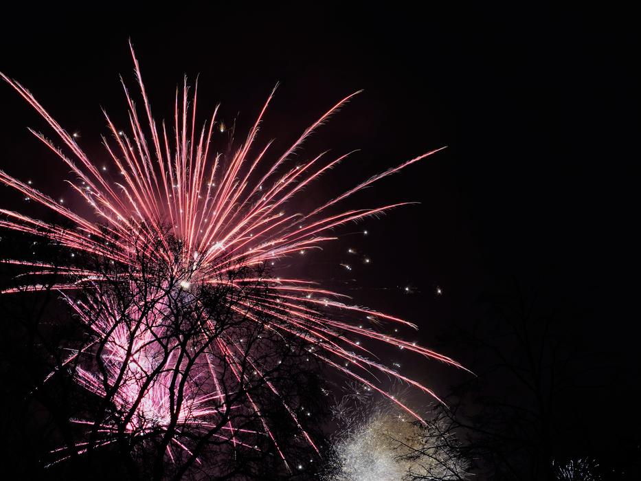 pretty pink fireworks