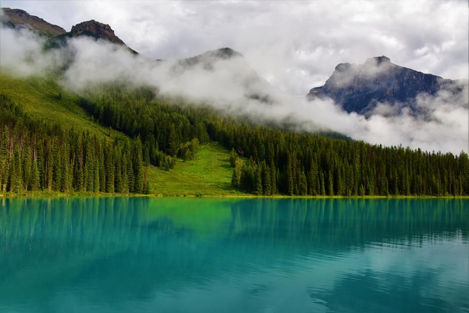 Scenery The Natural