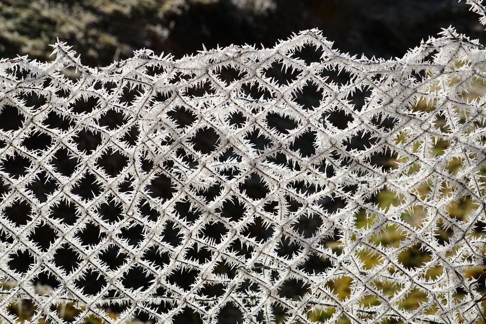 Wire Mesh Fence Hoarfrost
