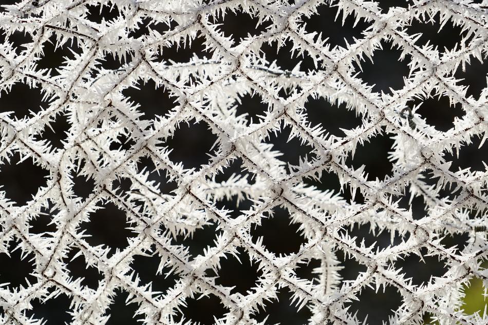 Fence Hoarfrost Snow Crystals