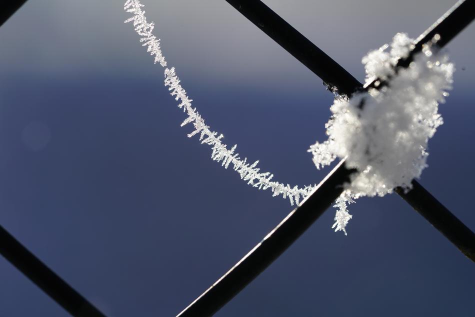 snow flake on the fence