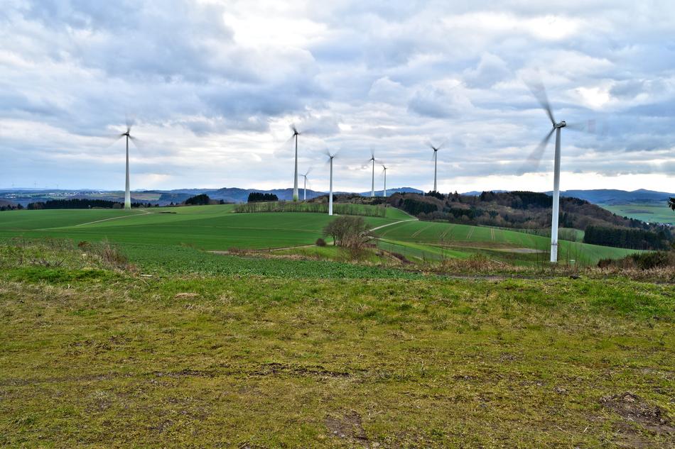 windmills in the field against the sky