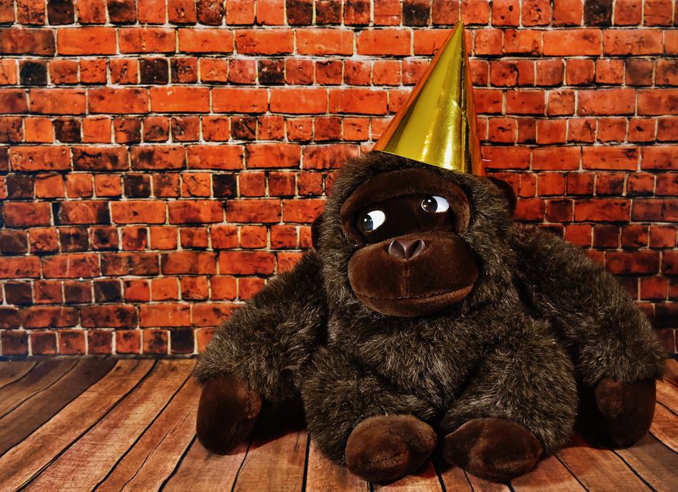 big funny monkey in a hat