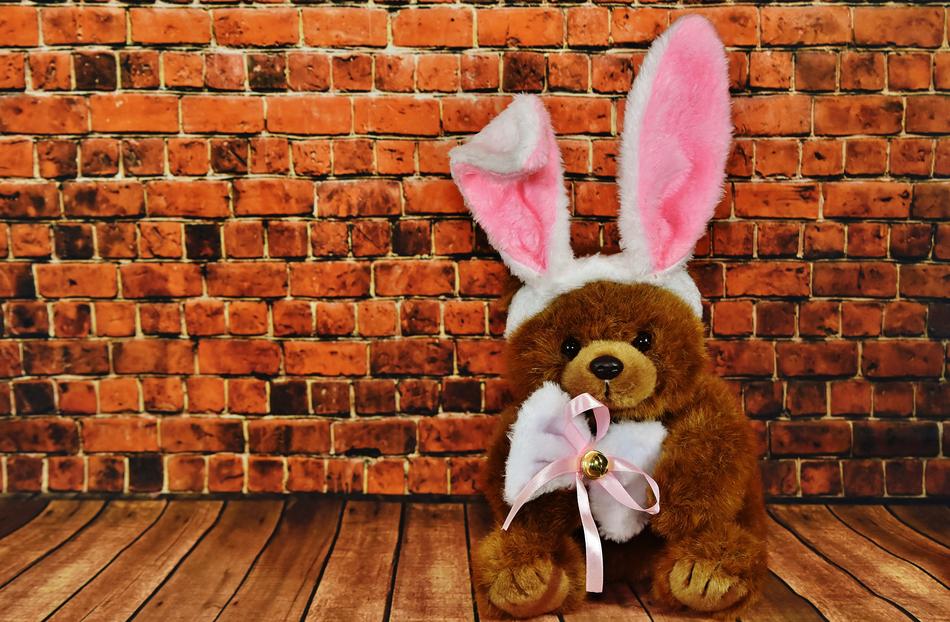 Easter Bunny Greeting Card Cute