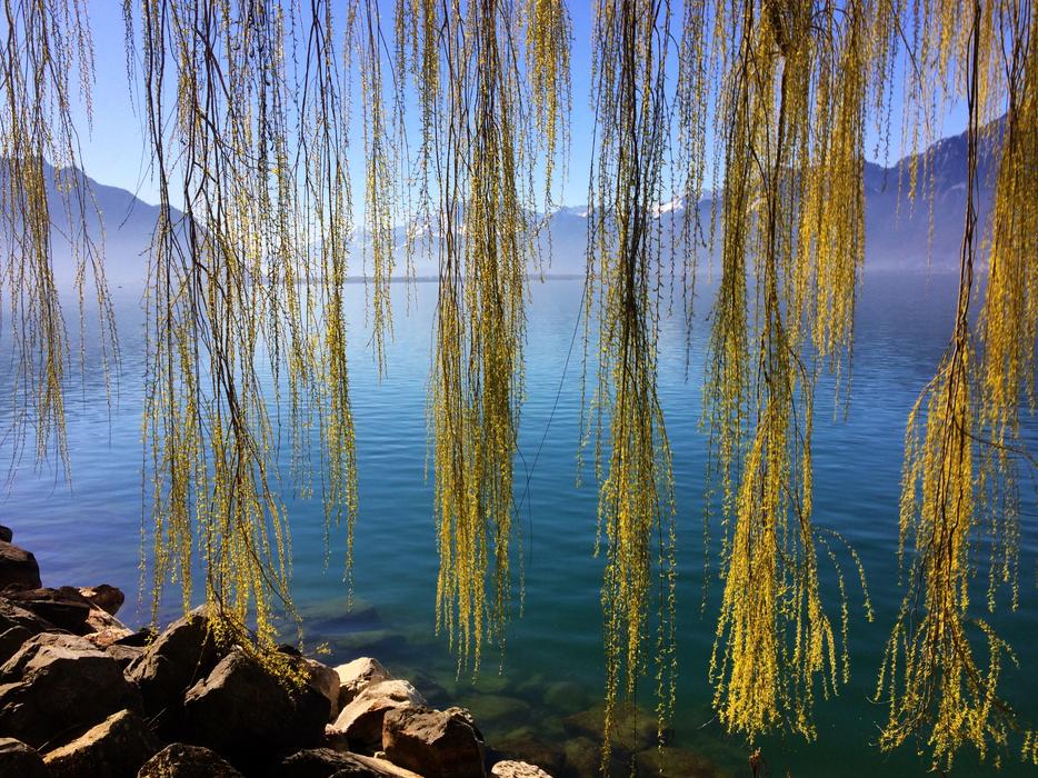 Switzerland Lake Geneva Montreux