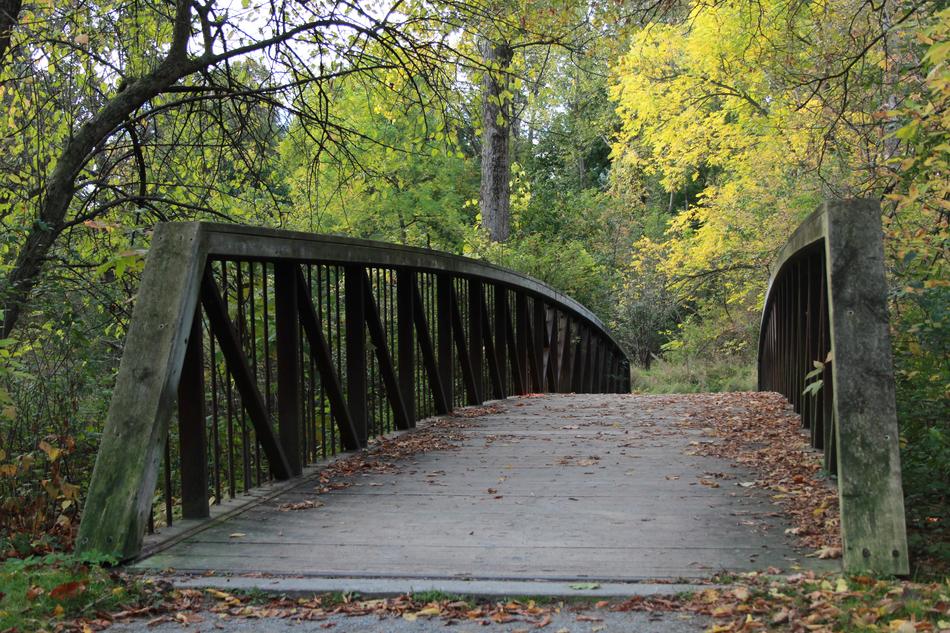 Cornelio Montalbo Bridge Wooden