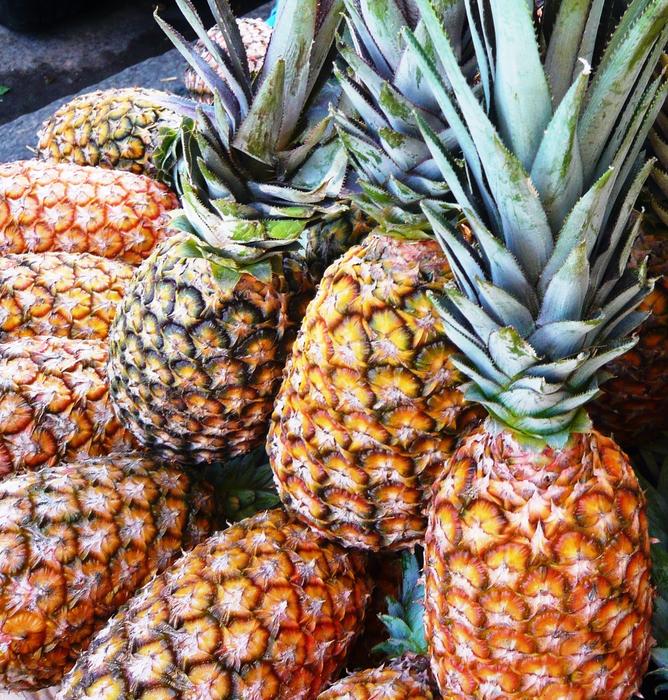 Pineapple Hortifruti