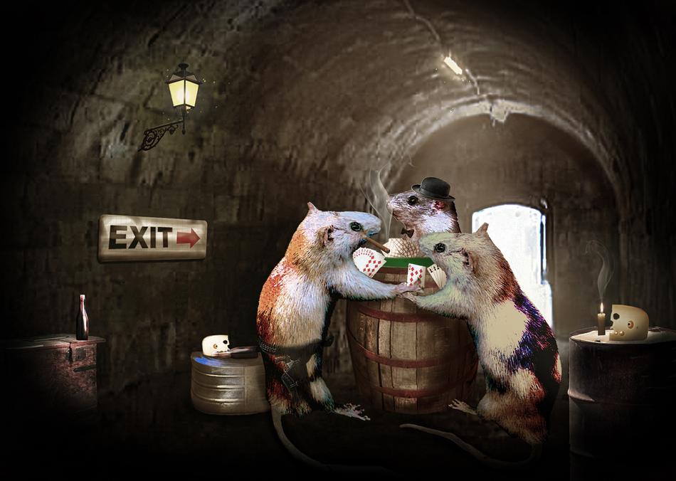 rat playing card barrel candlelight