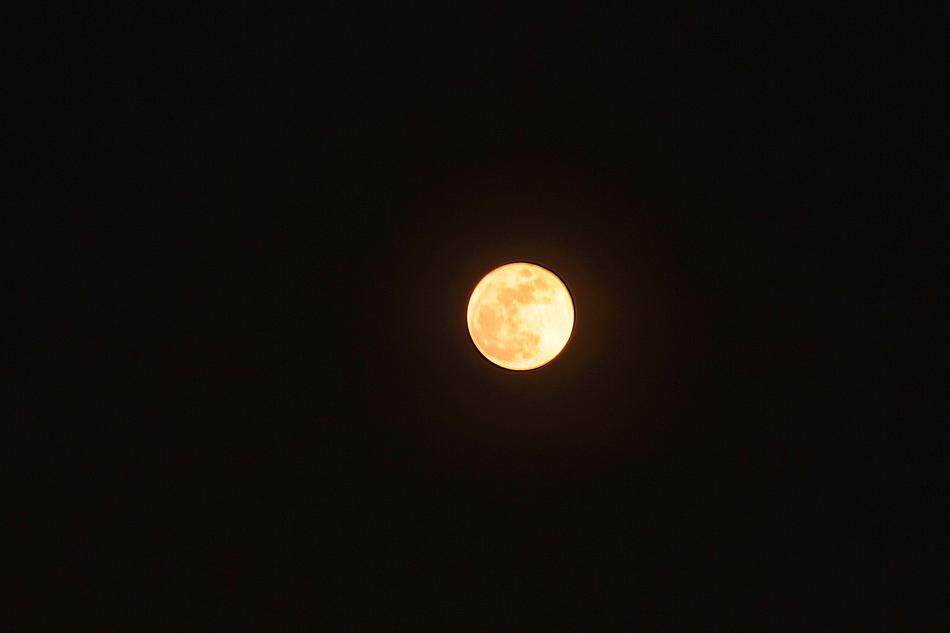 yellow bright moon in the night darkness