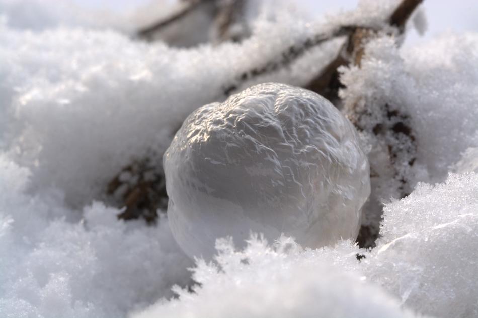 a bubble in the snow and a branch
