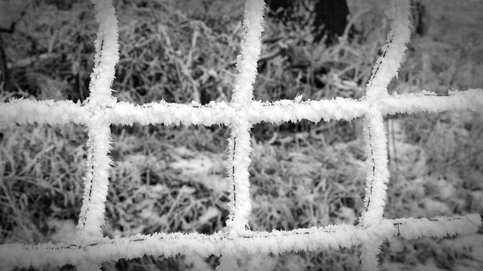 snowy landscape fence