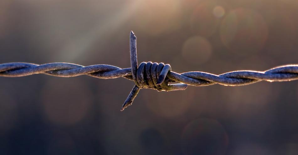 Pasture Fence Barbed Wire Fencing