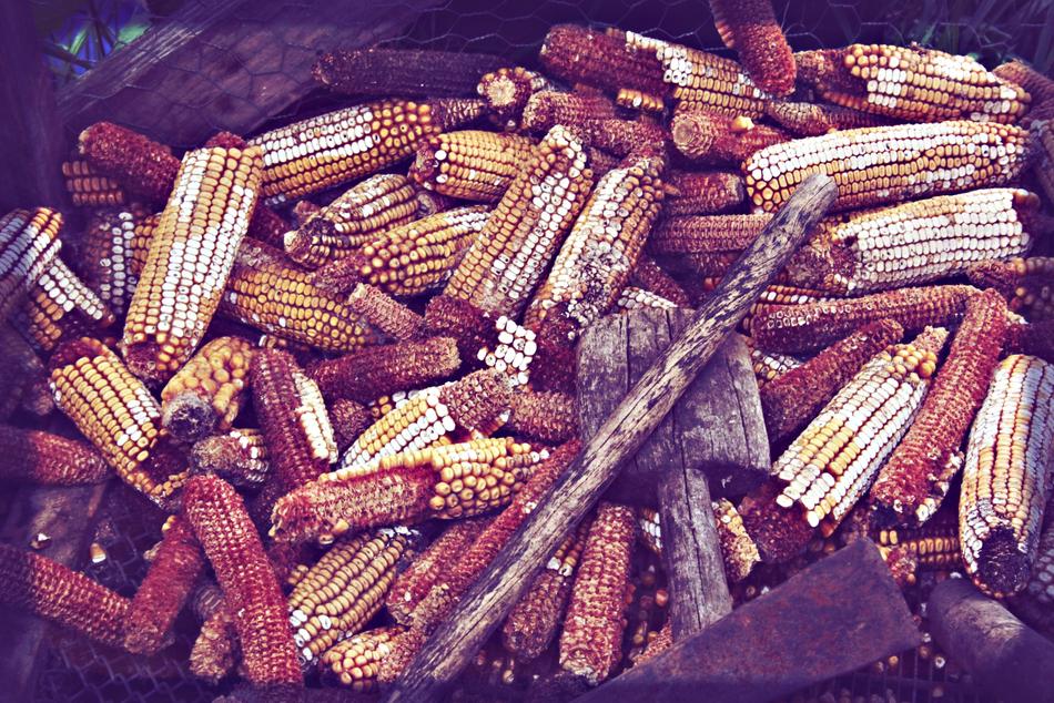 Corn Husk Village
