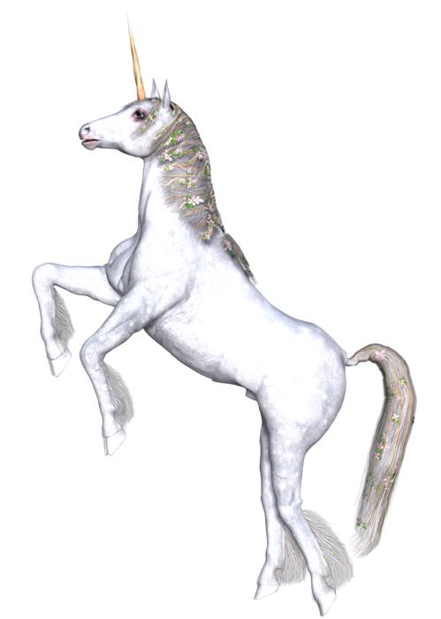 unicorn fantasy fairy tale white