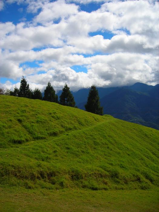 green grass meadow panorama