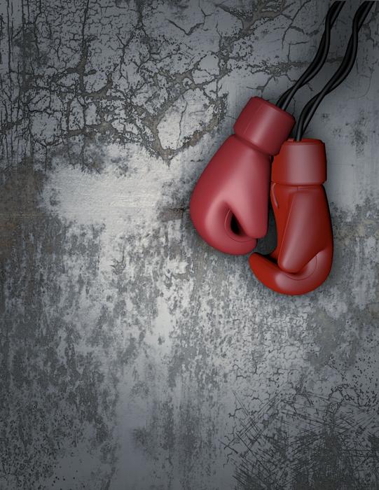 Boxing Gloves Wall Box