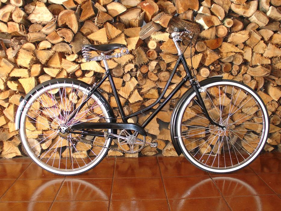 Transport bike stacks firewood