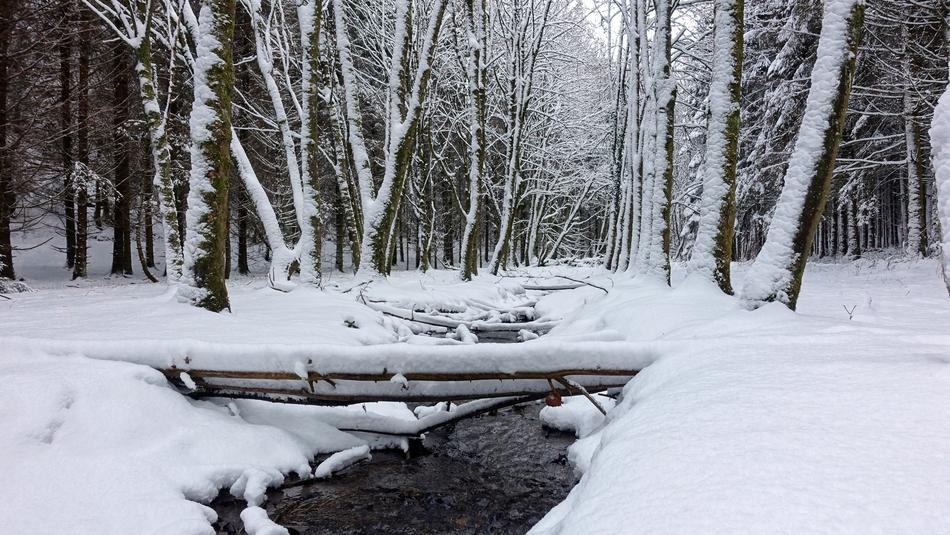 old bridge with trees in the snow