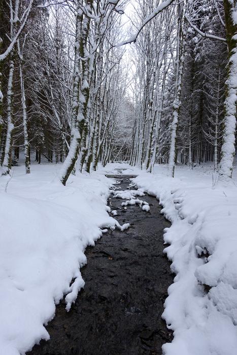 Snow White Winter Landscape