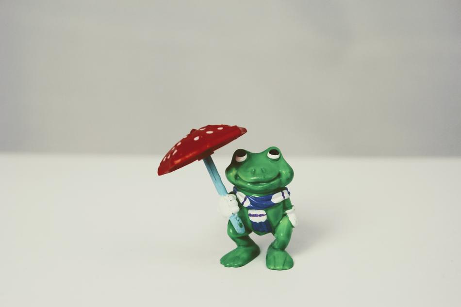 frog with an umbrella view