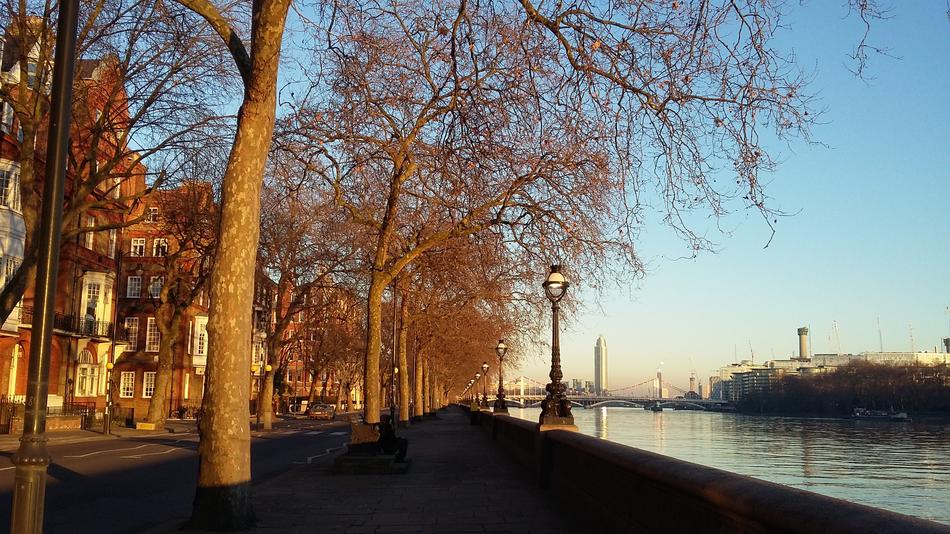 London Chelsea Scape Thames