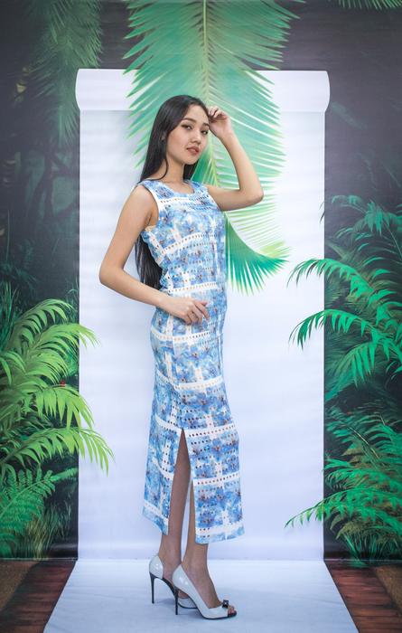 Girl in beautiful dress at the show
