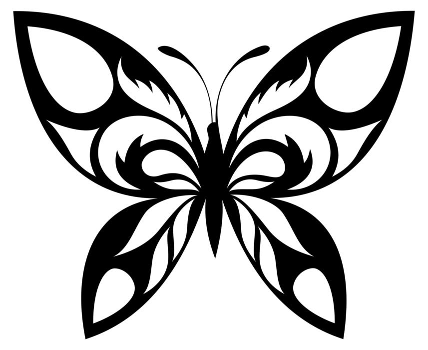 tribal butterflies drawing