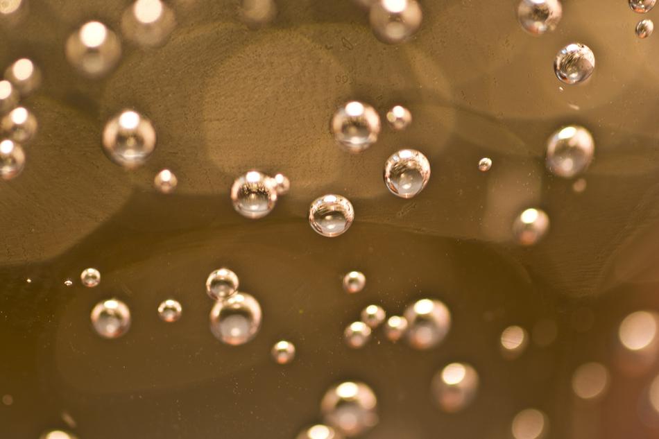 Vesicle Water Air Bubbles In The