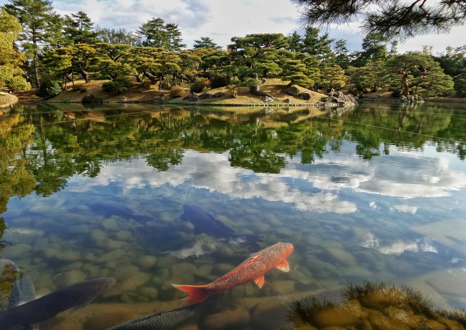 Japan Japanese Garden