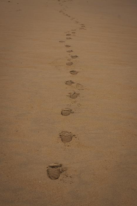 footprints in the sand landscape
