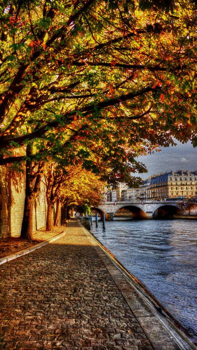 autumn leaves in the countryside