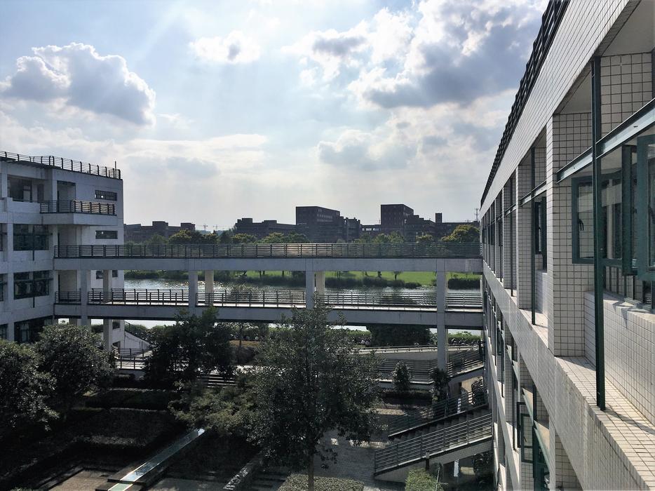 school extension landscape