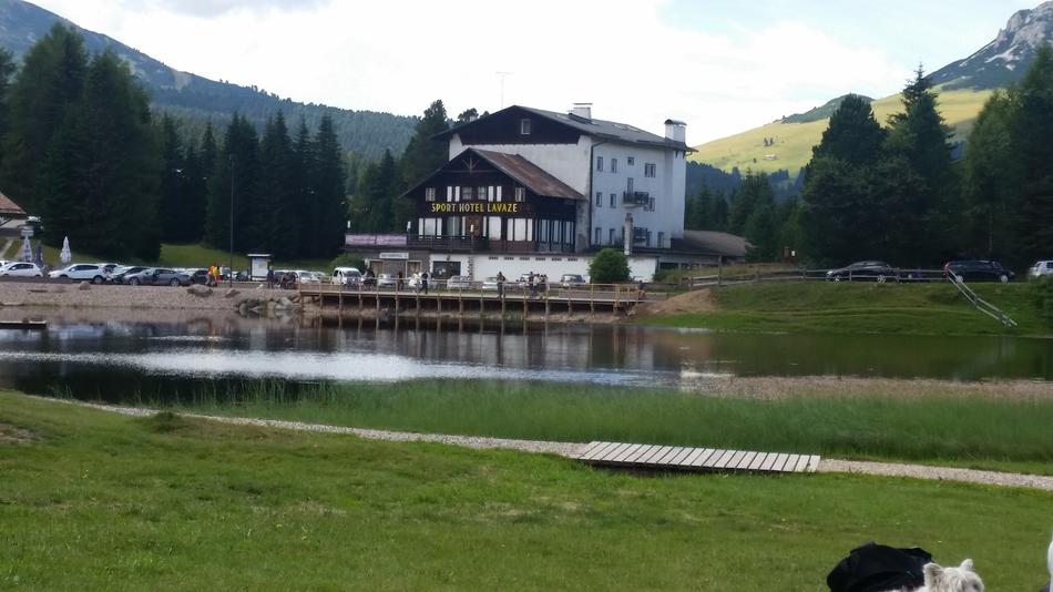 Terme Pond Alpine