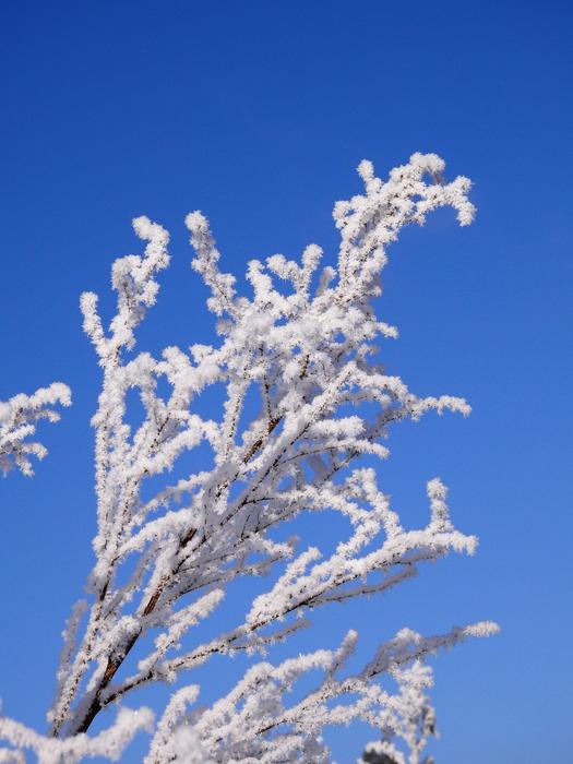 Winter Cold Ice