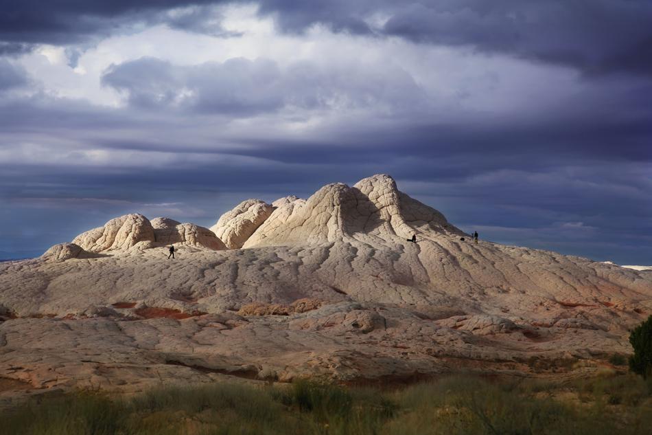 Arizona White Pocket