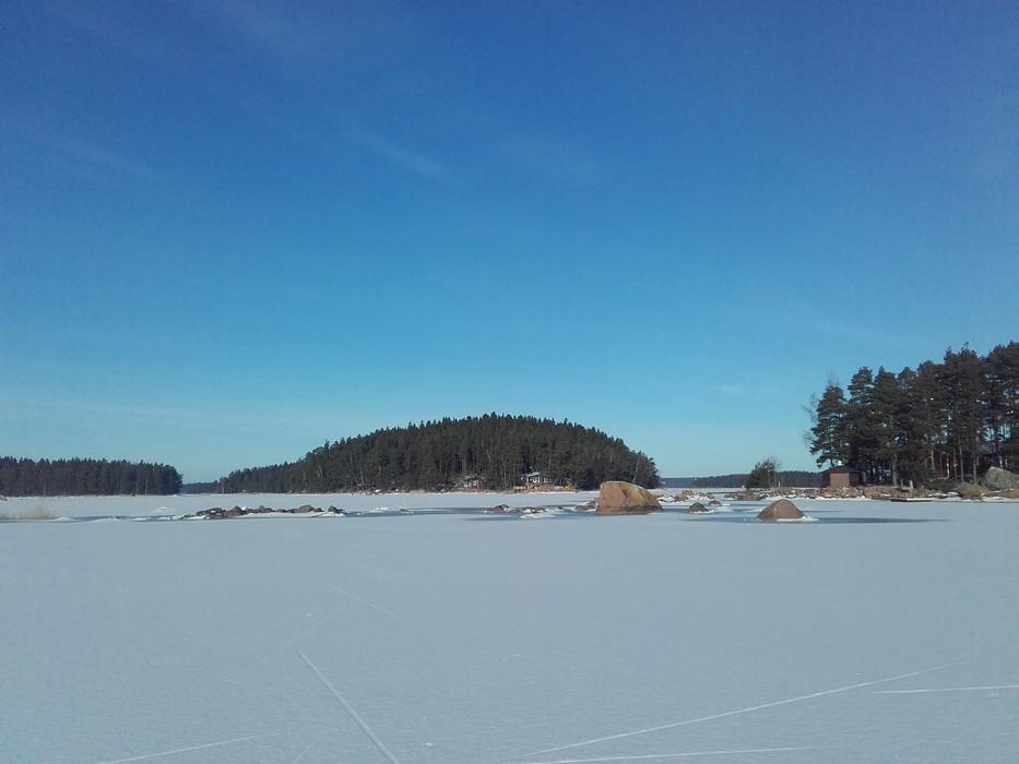 Winter Ice
