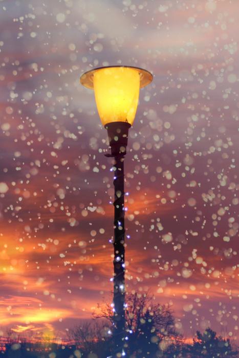 the lamp outside is high