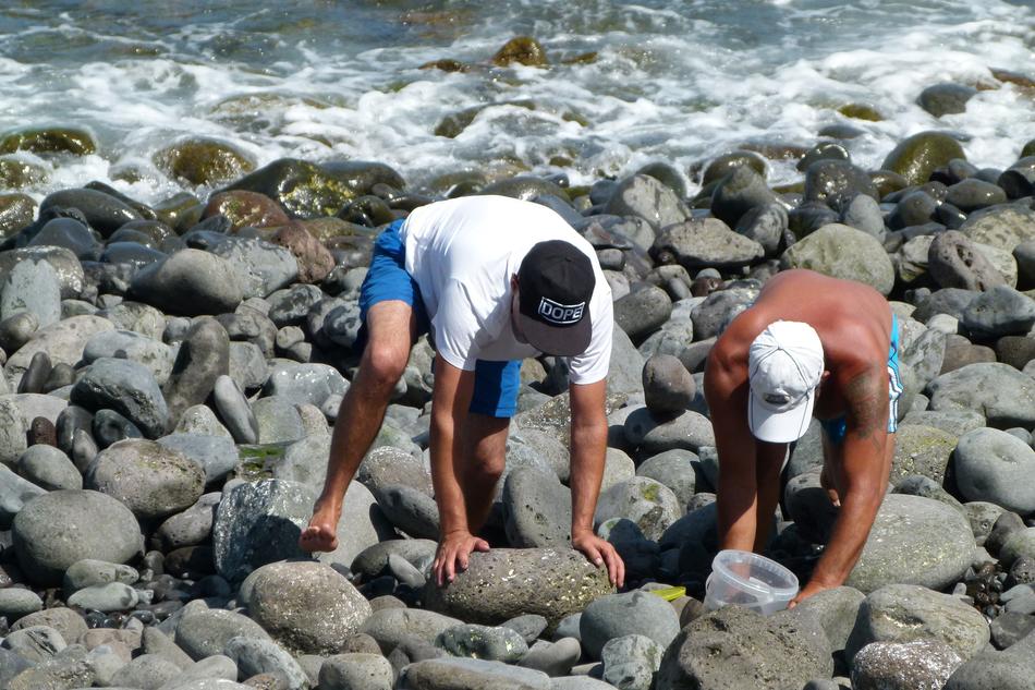 Oysters Men Visitors by sea